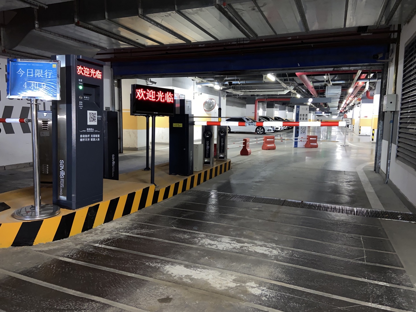 b9edb919-c4b8-4ee7-b44b-5c2031e69509.jpg b9edb919-c4b8-4ee7-b44b-5c2031e69509.jpg